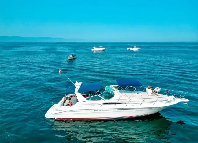 42ft Sea Ray Luxury Yacht in Puerto Vallarta, Jalisco