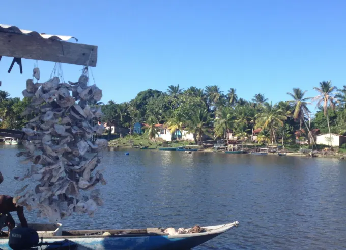 Day Tour in Morro de SP, Around Tinharé Island