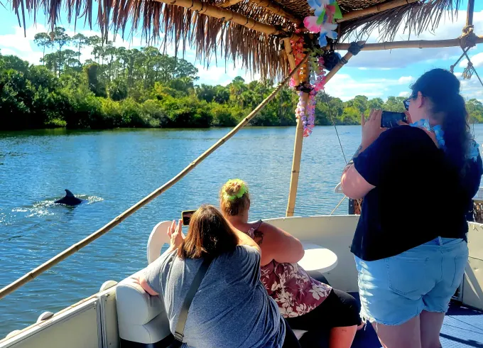 Private Dolphin & Manatee Sightseeing Cruise in Cocoa Beach, Florida