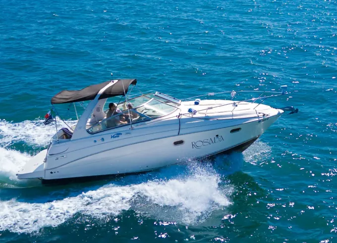 Experience Vallarta by boat in our beautiful 30' Yacht!