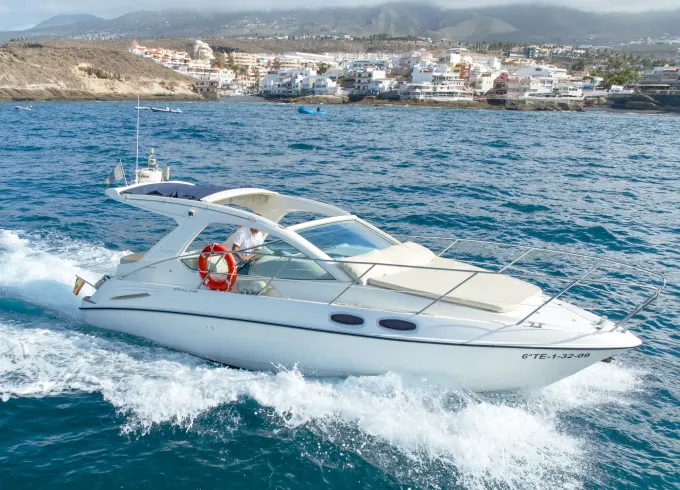 Motorboat Shared Experience Tenerife | Sealine SC29