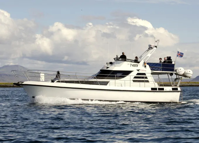 Luxurious Yacht for Private Whale Watching, Puffin Tours & Sightseeing Cruises