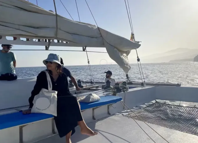 100% Electric Whale & Dolphin Watching Catamaran (Shared Group Experience)