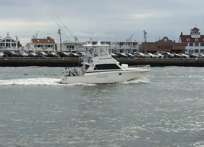 Charter 38' Bertram Motor Yacht for Fishing Trips and Booze Cruise - 6 People