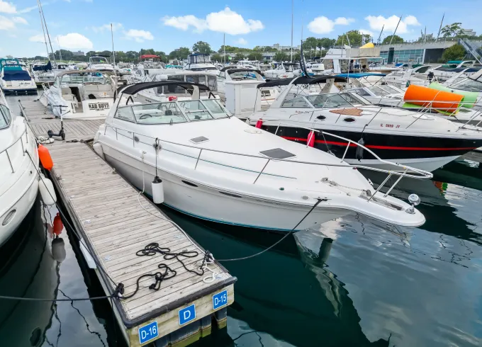 SeaRay 330 Motor Yacht Charter in Chicago, Illinois for 12 Guests