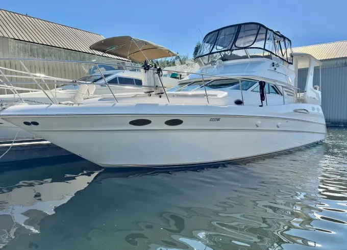 SeaRay 48 ft Luxury Yacht in Vancouver