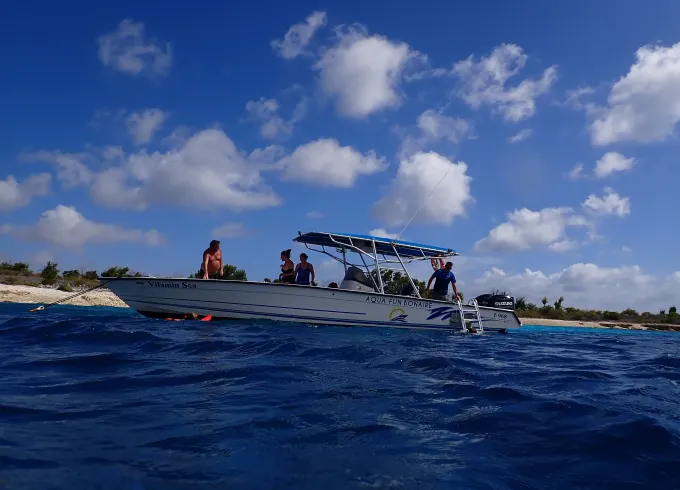 2 Tank Boat Dive on Bonaire's Underwater Paradise in the Caribbean Netherlands!