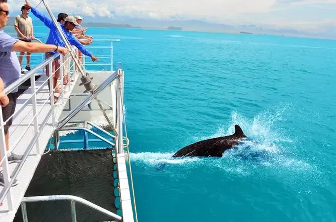 Shared Catamaran Eco Adventure in Manuel Antonio, Costa Rica