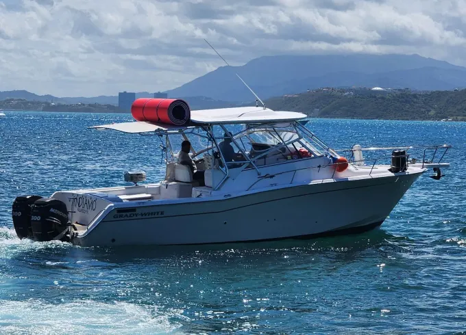 Grady White 33Ft Puerto Del Rey, Fajardo PR