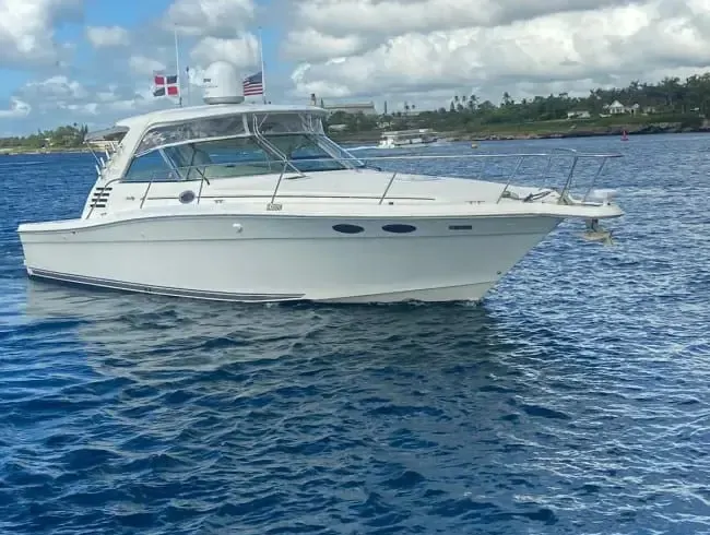 Visit Saona or Catalina island in our 37ft Sea Ray