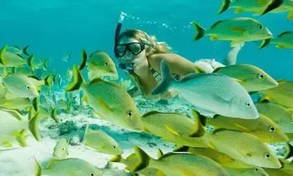 Sightseeing Boat Tour in Ambergris Caye, Corozal