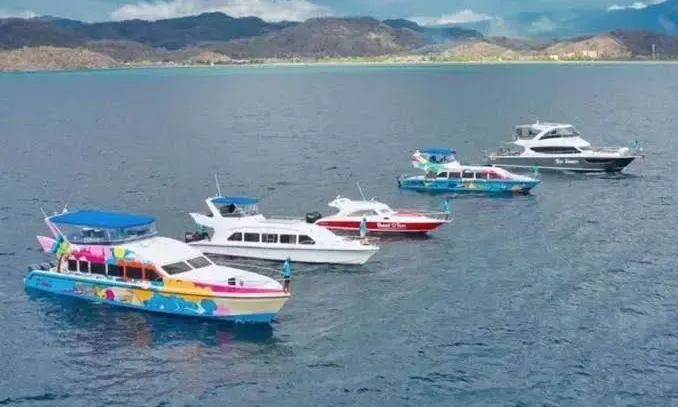 Full Day Sharing Trip Komodo