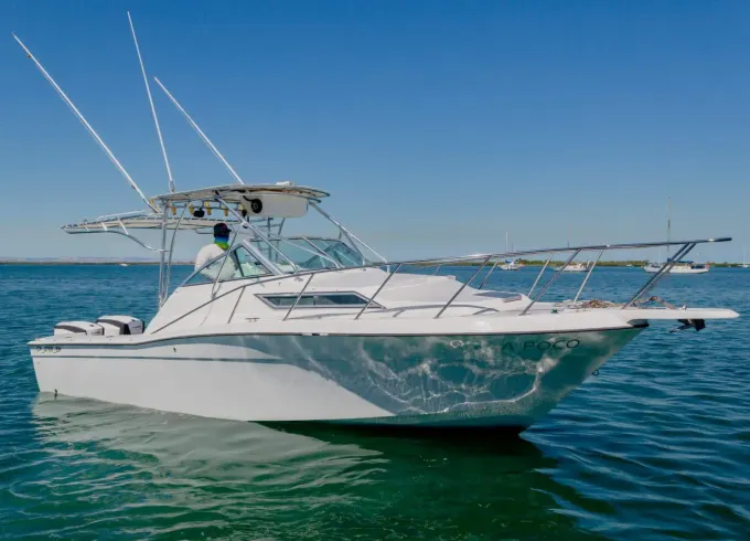 Wellcraft 31 ft Yacht & Sportfishing in La Paz!