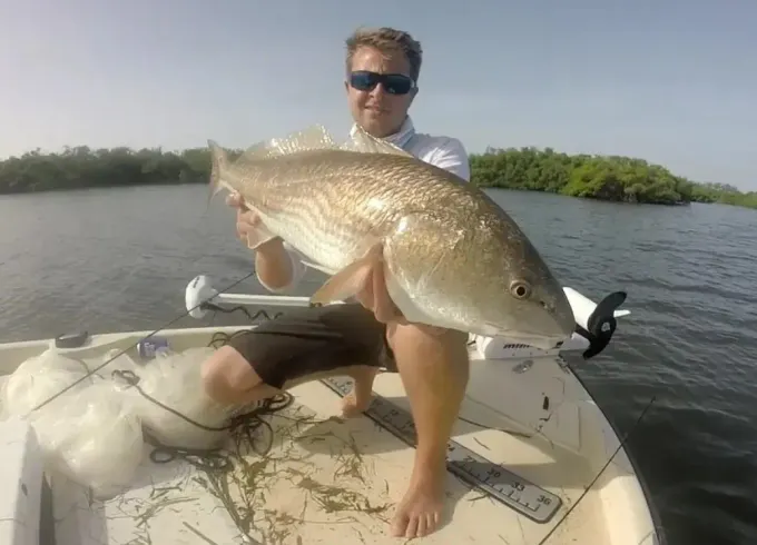 Inshore Fishing Trip for 4 anglers in Bradenton with Captain Alex