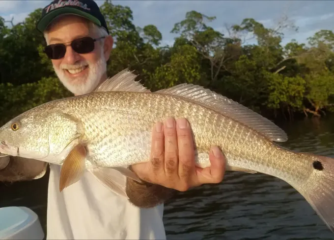 Inshore Full Day Charter in Naples with Captain Tim – The Best Value!