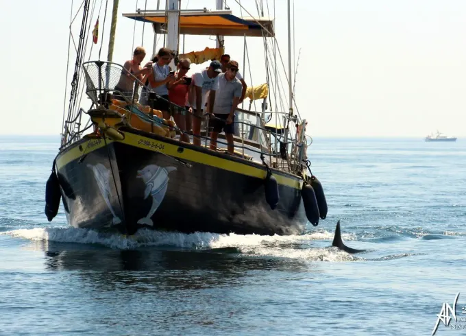 Blue Water Vagabond 42 Sailing Yacht Rental in Benalmádena, Spain