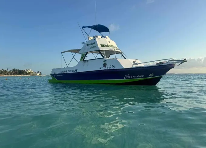 Whale Shark Tour – Swim with Whale Sharks in Cancún