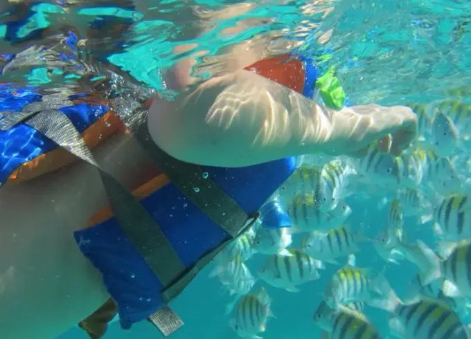 Snorkeling and Fishing Trip In San Pedro, Belize