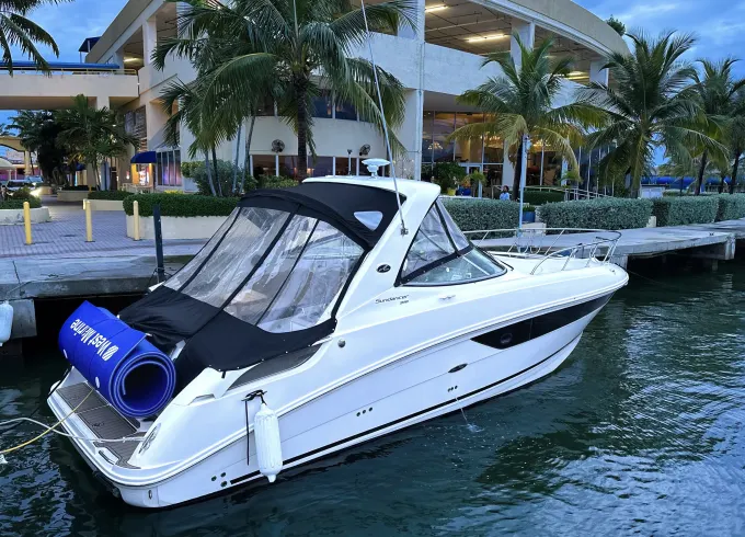 Beautiful Sea Ray 310 Sundancer Yacht