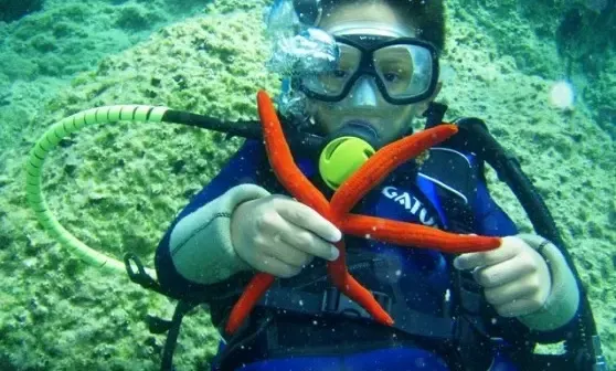 Dive Boat Charter "Dive Easy II" In Corfu, Greece