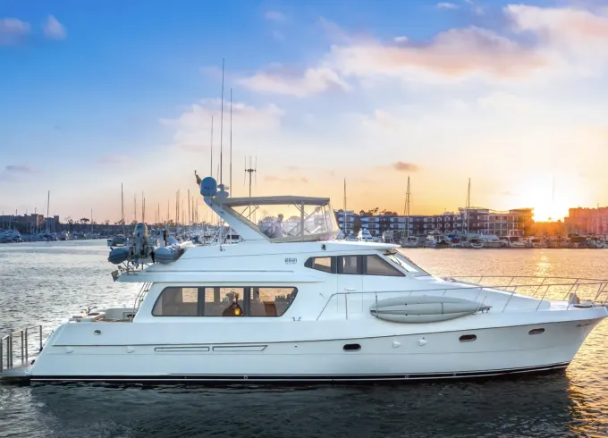 Unforgettable Dolphin Cruises, Scenic Coasts & Fishing Fun!!