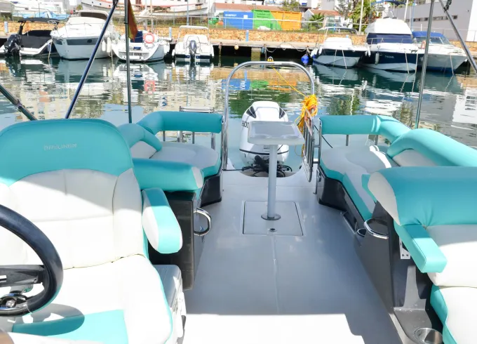 Bayliner Element XR7 Open Boat Rental in Marbella, Andalucía