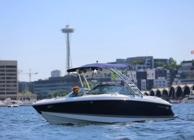 Dash the Lake in our Premium Cobalt Bowrider! Hassle-free refueling!