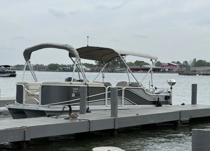 Lake Conroe G3 V322SS Luxury Pontoon