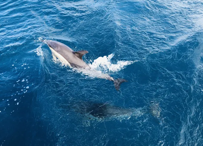 Sailing Charter On Cruising Monohull In Lisbon, Portugal
