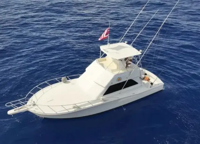 Viking 43' – Luxury Sport Yacht Charter