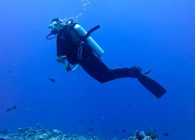 RIB Diving Trips in Avatoru, French Polynesia