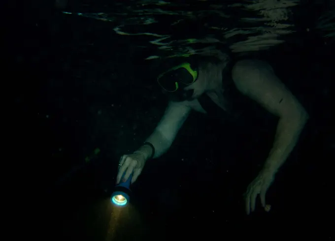 Night Snorkeling in Mirissa, Sri Lanka