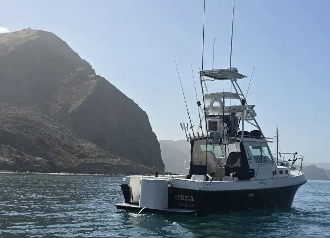 OFFSHORE Sportfishing and Harbor/Sunset Cruises