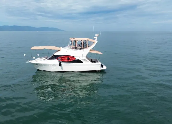 Carver 38 Sedan Bridge Yacht in Puerto Vallarta