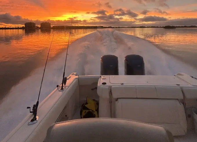 Salt and Sunset Charters — Private Grady-White 306 | Dolphins, Shelling & Sunset