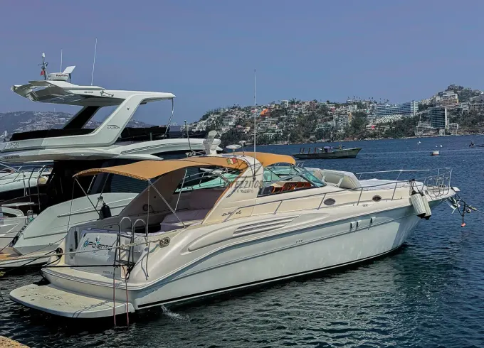 Sea Ray 48 ft Beautiful Yacht