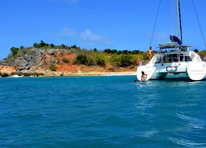 Lagoon 38 Whales Watching Private Charter in Saint-Martin