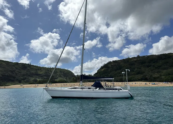 Private sailing on 45 foot Luxury yacht, day sailing, sunset sail, snorkeling