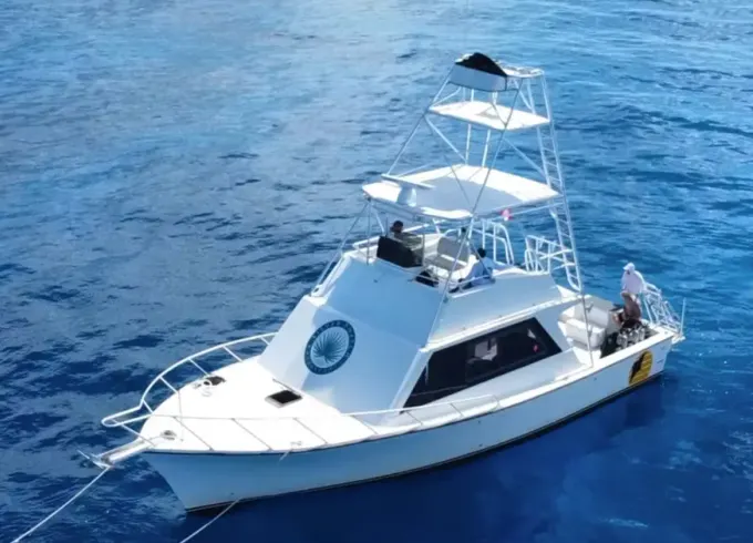 The Ultimate Stingray City Tour
