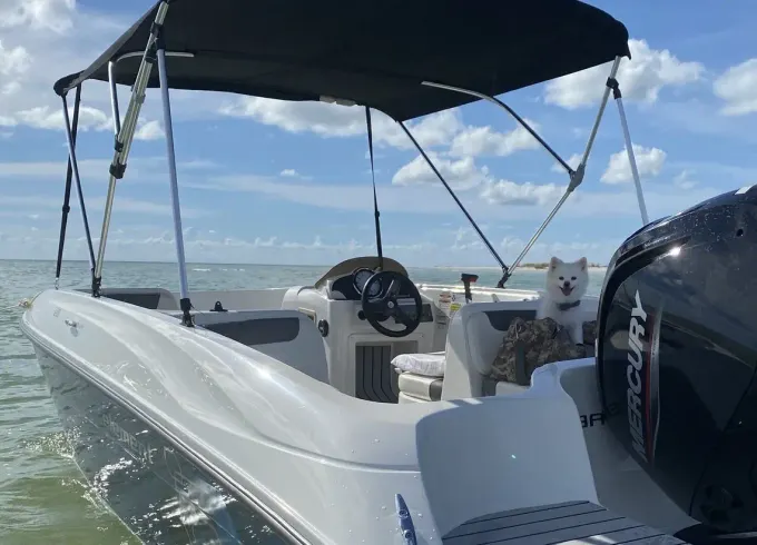 Easy to Drive Bayliner Deck Boat  (10% Off Weekday Specials!!)