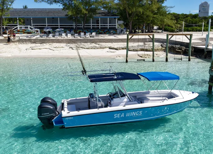 29ft Intrepid Charter in Nassau, Bahamas for Snorkeling, Pigs, Turtles & More
