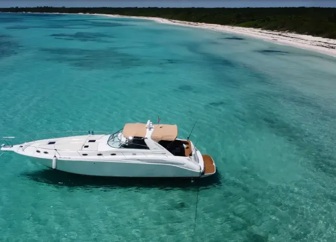 Elegant Sea Ray Sundancer 48ft Motor Yacht (All Inclusive) in Tulum