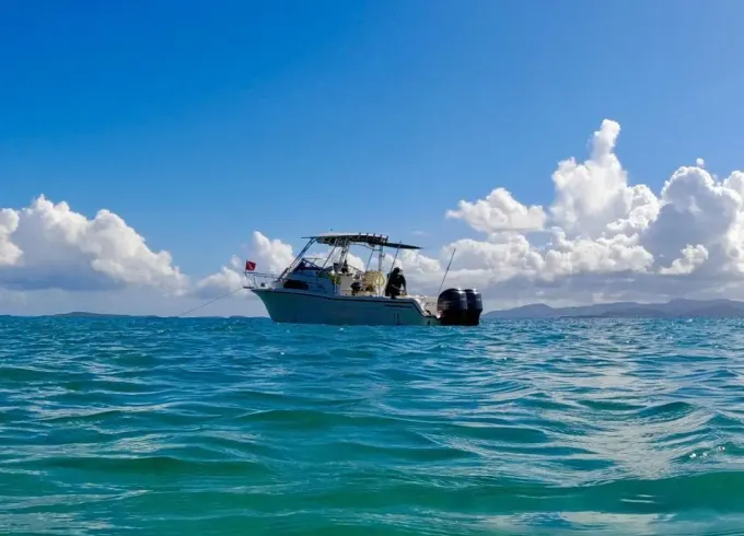 Serene Day on the Water | Grady-White 282 Sailfish Boat