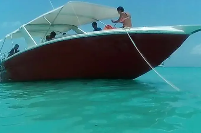 Swim with Whale Shark In Cancun, Isla Mujeres and all Mayan Riviera