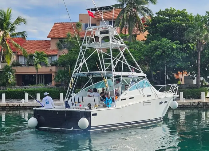 38' Bertram for the best fishing from Puerto Aventuras, Riviera Maya