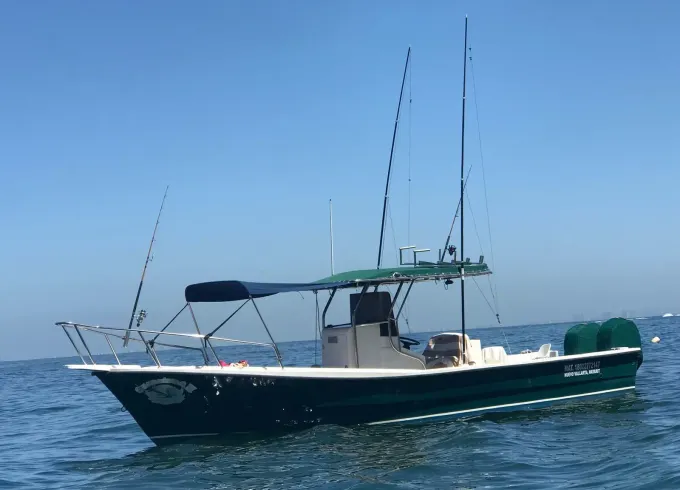 29ft Center Console Super Panga Boat in La Cruz de Huanacaxtle Marina, Mexico