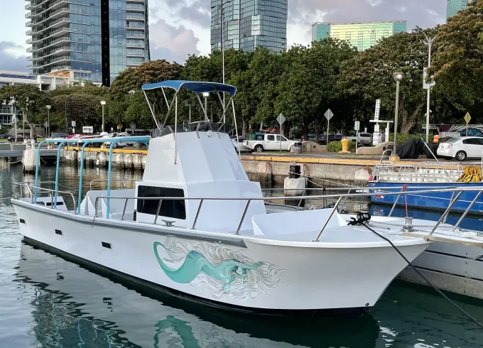 Private snorkel tours, Sunset cruises, Custom charters.
