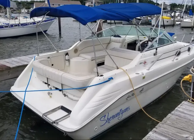 27ft SeaRay for private/sightseeing the beautiful mansion's of fort Lauderdale
