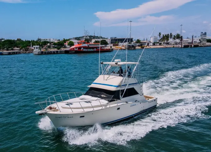 Private Yacht 42ft Chris Craft for Charter