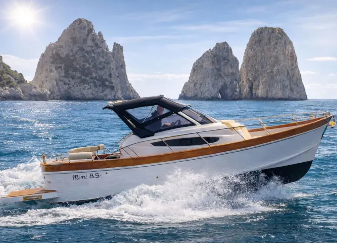 Private Boat for Capri to Capri